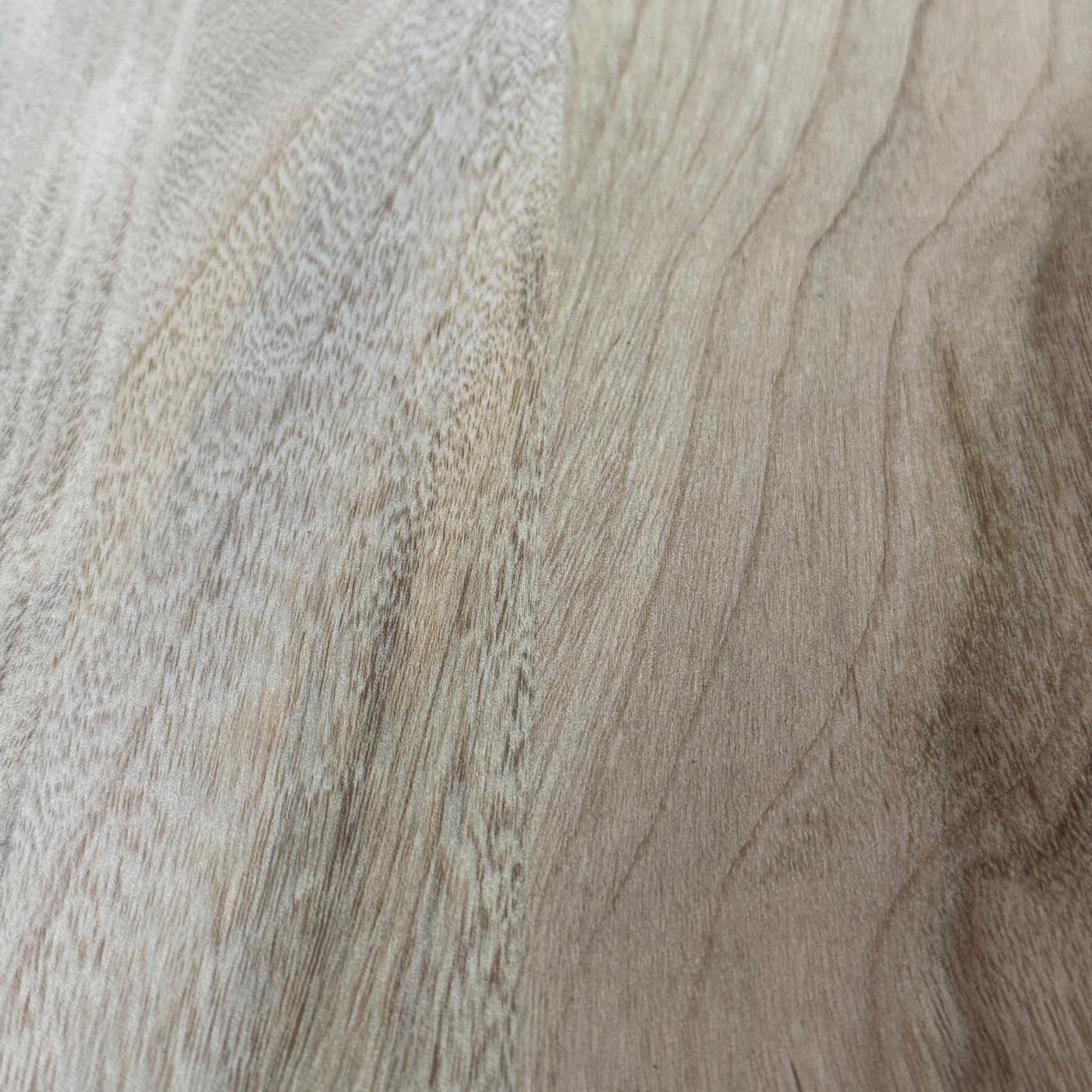 彫刻材 楠 はぎ板 プレナ仕上げ L250×T20×W220mm KS25020220-1 定番商品