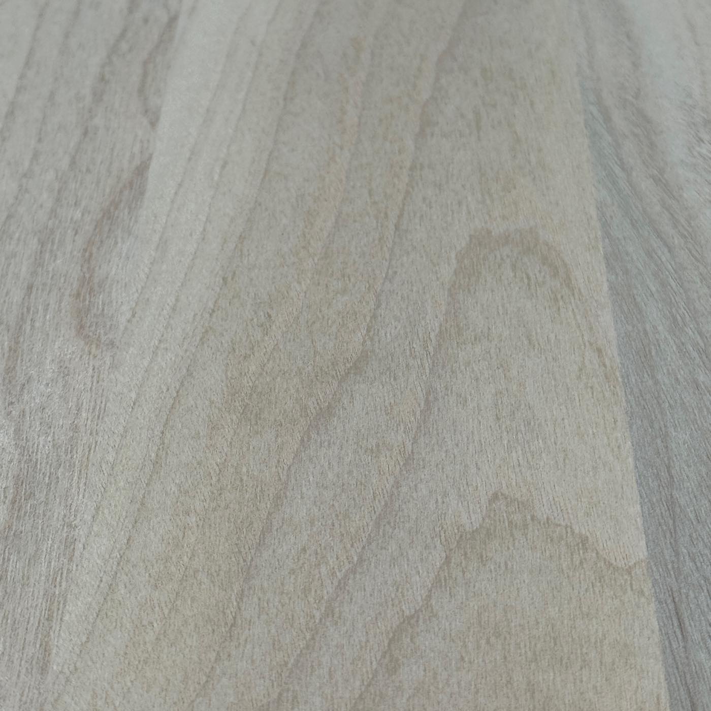 彫刻材 楠 はぎ板 プレナ仕上げ L350×T10×W220mm KS35010220-1 定番商品