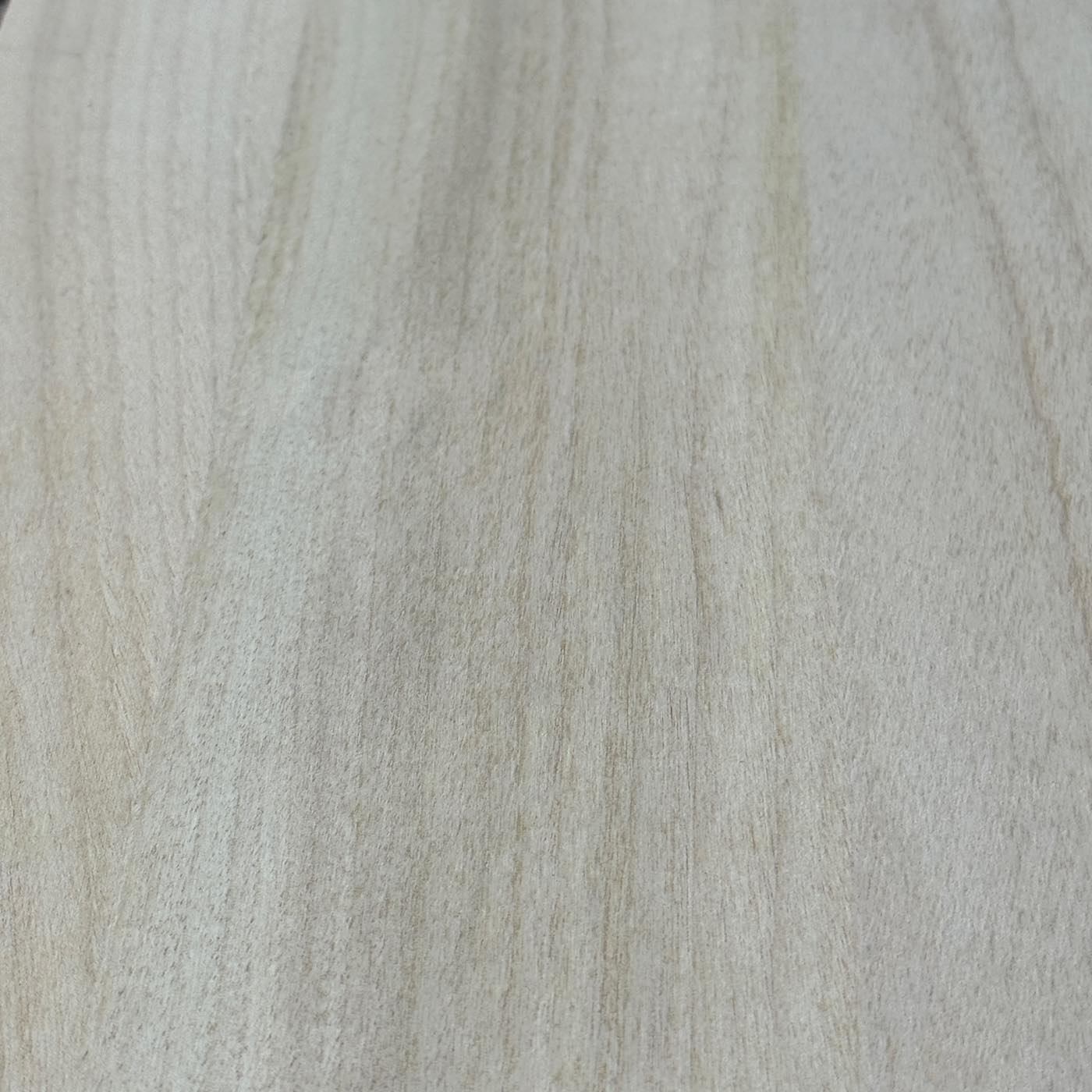 彫刻材 楠 はぎ板 プレナ仕上げ L300×T10×W200mm KS30010200-1 定番商品