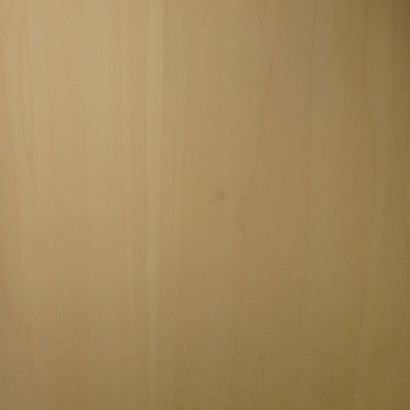 レリーフ用 シナ薄板 板目 二枚はぎ L450×T10×W220mm 142410220-4