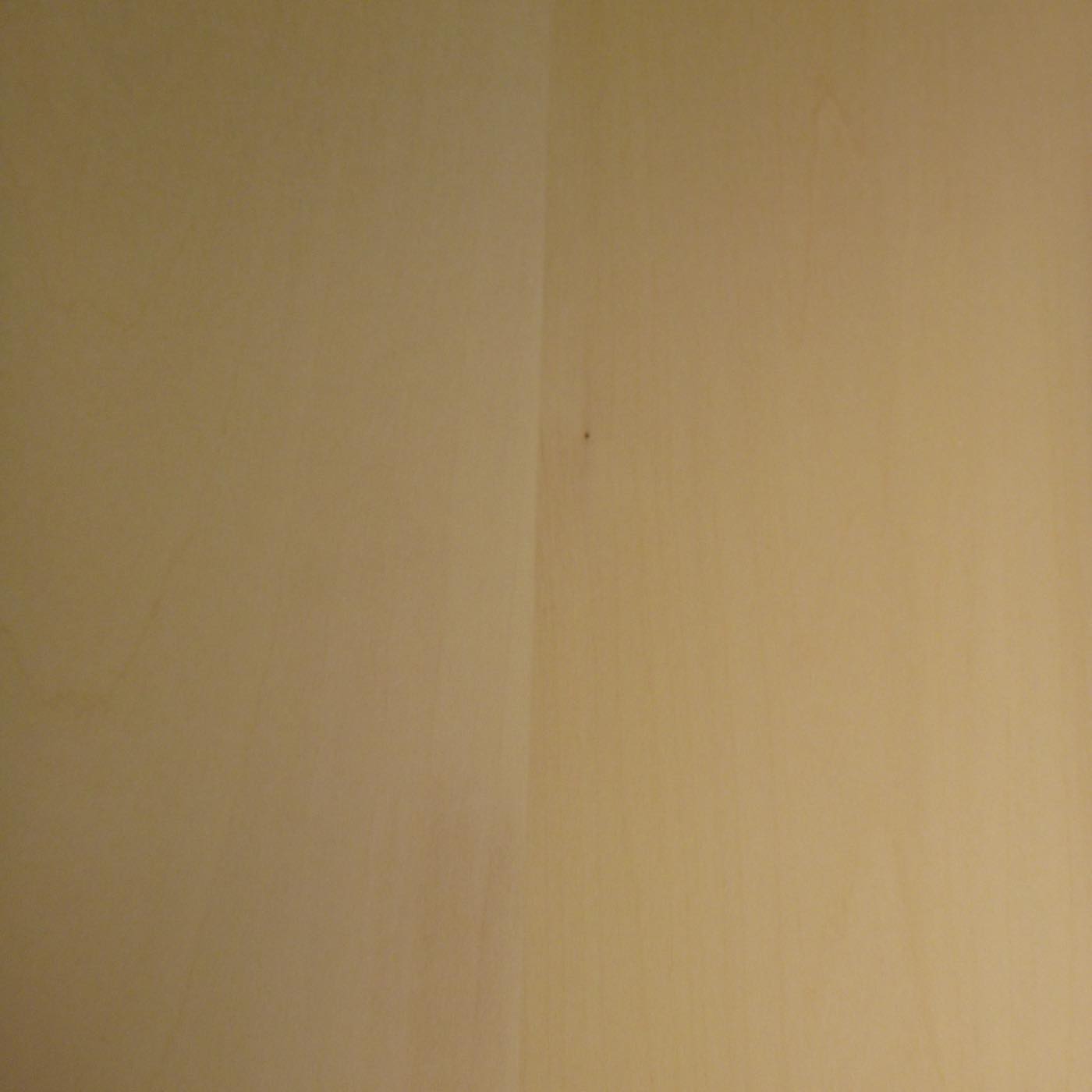 レリーフ用 シナ薄板 板目 二枚はぎ L450×T10×W220mm 142410220-5