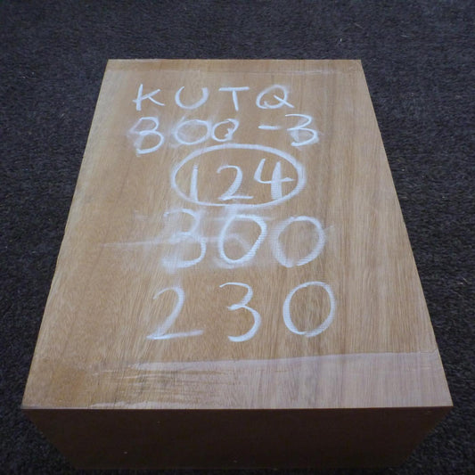 彫刻材 楠 柾目 ラフ材 L300×T124×W230mm KUTQ300-3 定番商品