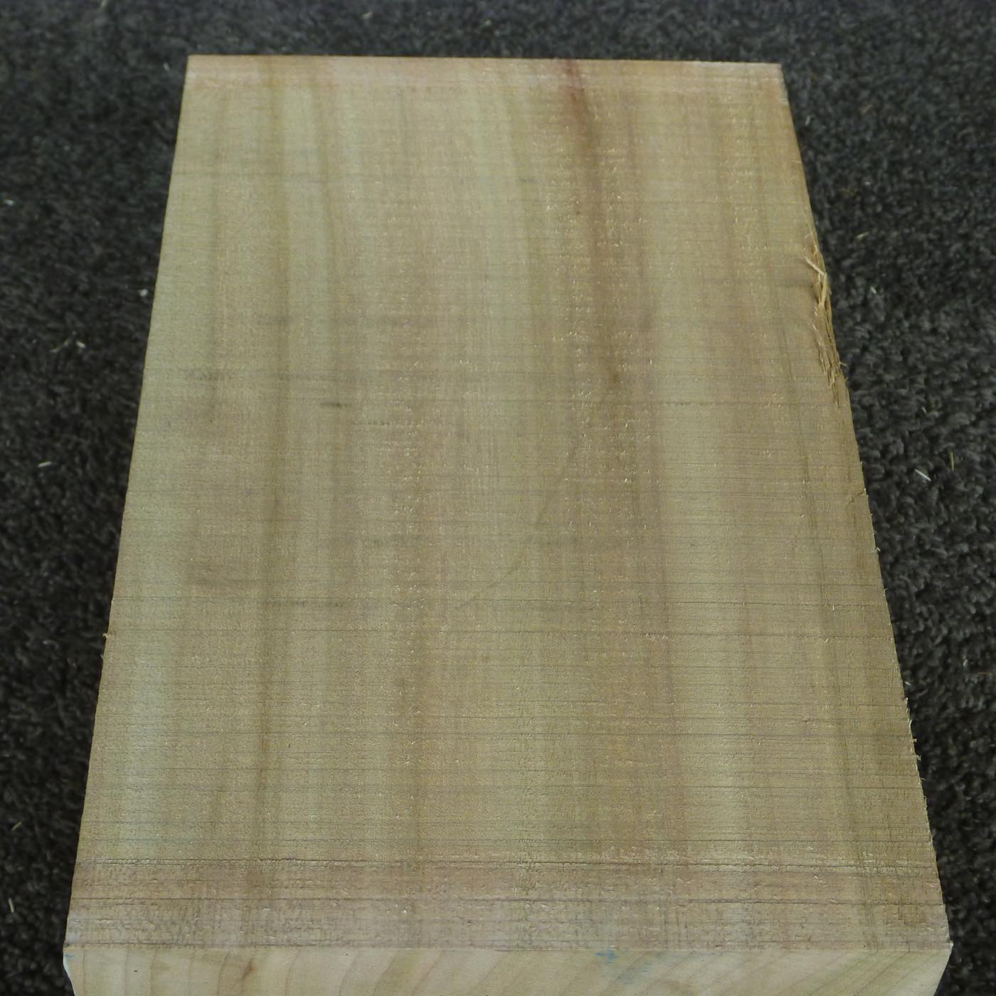 能面材 楠 定番 NKS1 230×90×155mm 2023年1月20日製材(天然乾燥中)【この商品は送料無料です】