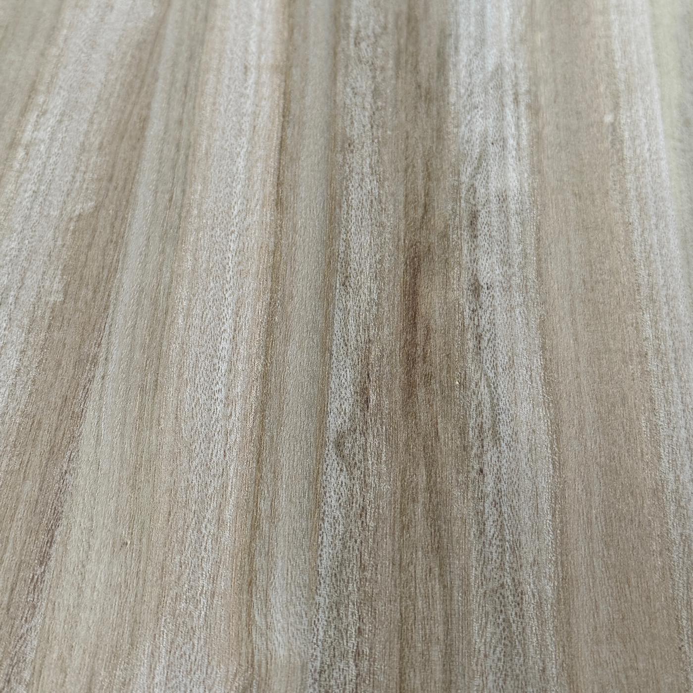 彫刻材 楠 はぎ板 プレナ仕上げ L400×T20×W200mm KS40020200-2 定番商品