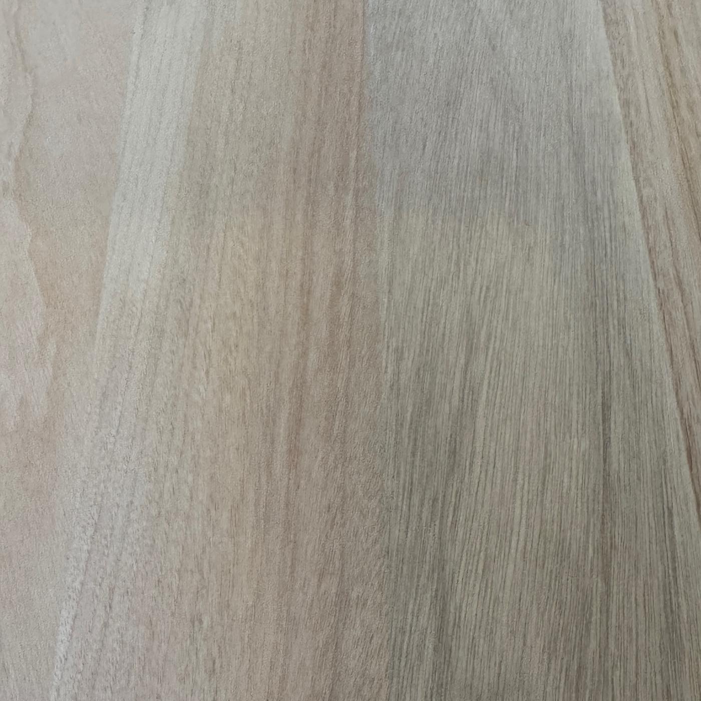 彫刻材 楠 はぎ板 プレナ仕上げ L400×T10×W220mm KS40010220-3 定番商品